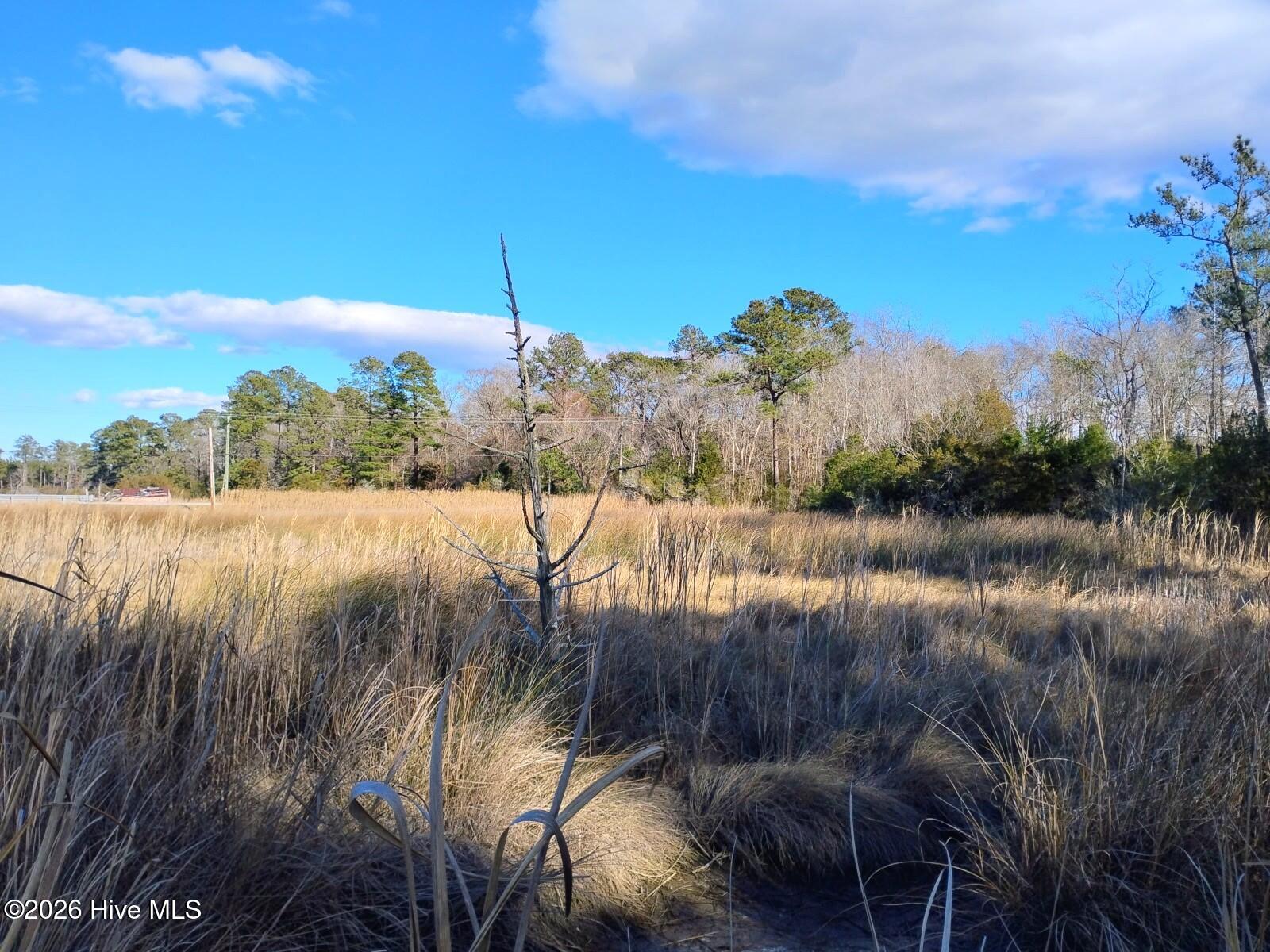 40 Alligator Creek Road Merritt, NC 28556 - Photo 10 of 14 Additional property 2