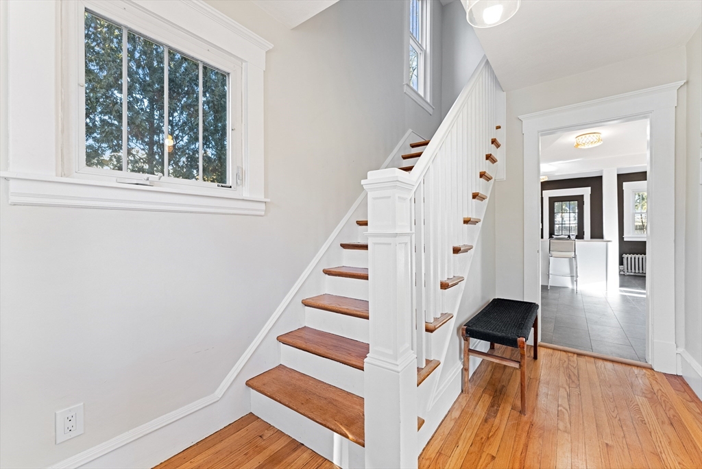 23 Homestead Avenue Springfield, MA 01151 - Photo 20 of 42 Gallery Image 20