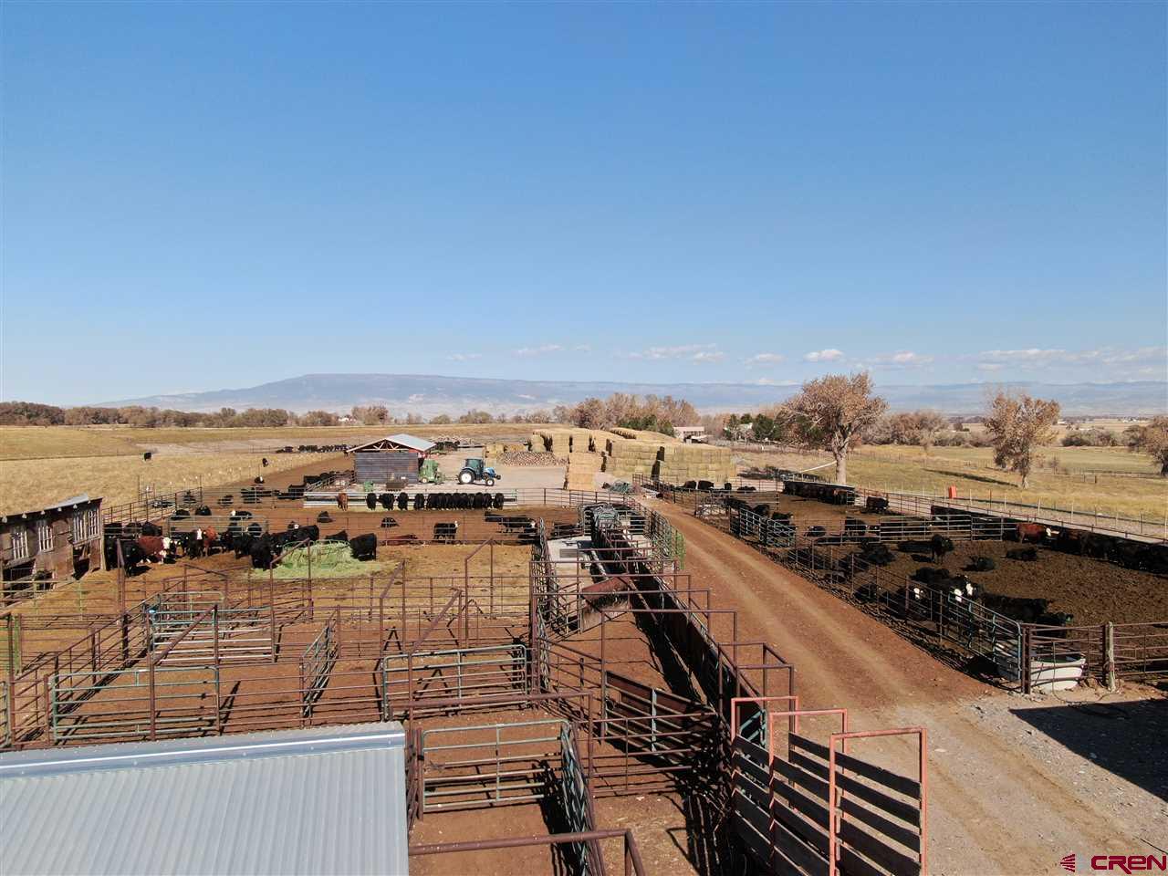 4682 Cedar Road Delta, CO 81416 - Photo 12 of 20