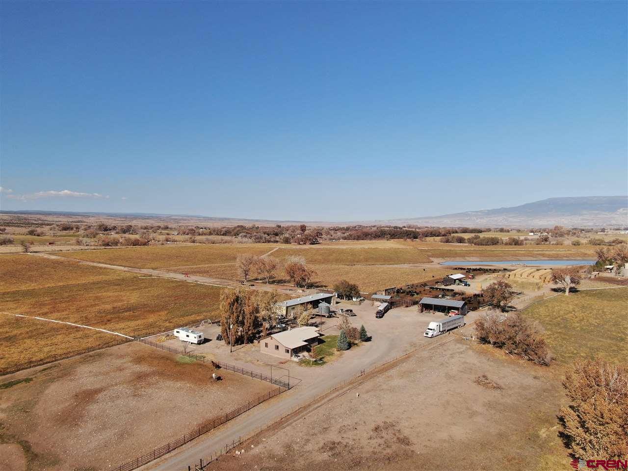 4682 Cedar Road Delta, CO 81416 - Photo 8 of 20