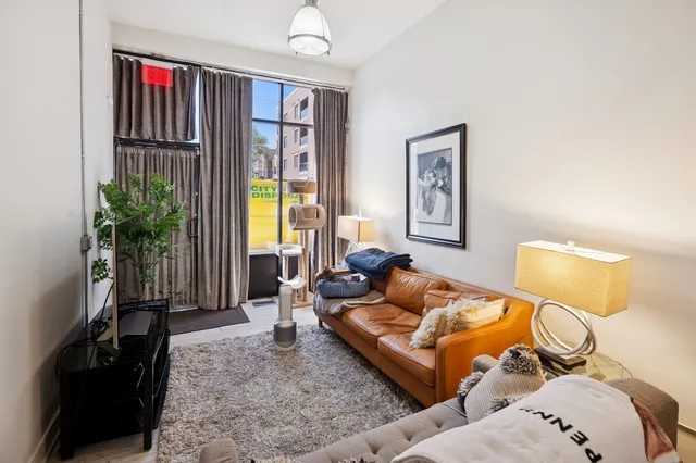 a living room with furniture lamp and a potted plant