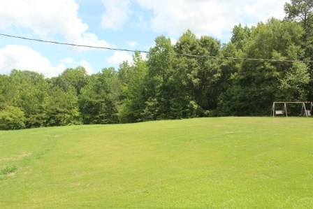 165 Gose Road Forsyth, GA 31029 - Photo 10 of 12 a view of outdoor space and yard