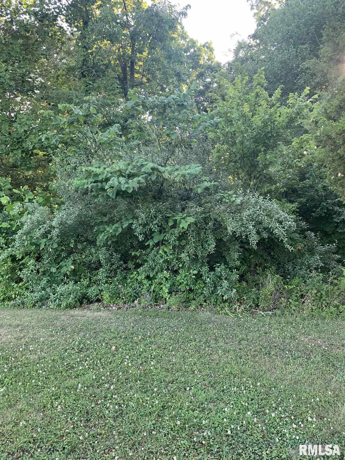 0 Wright Road Carbondale, IL 62902 - Photo 1 of 8