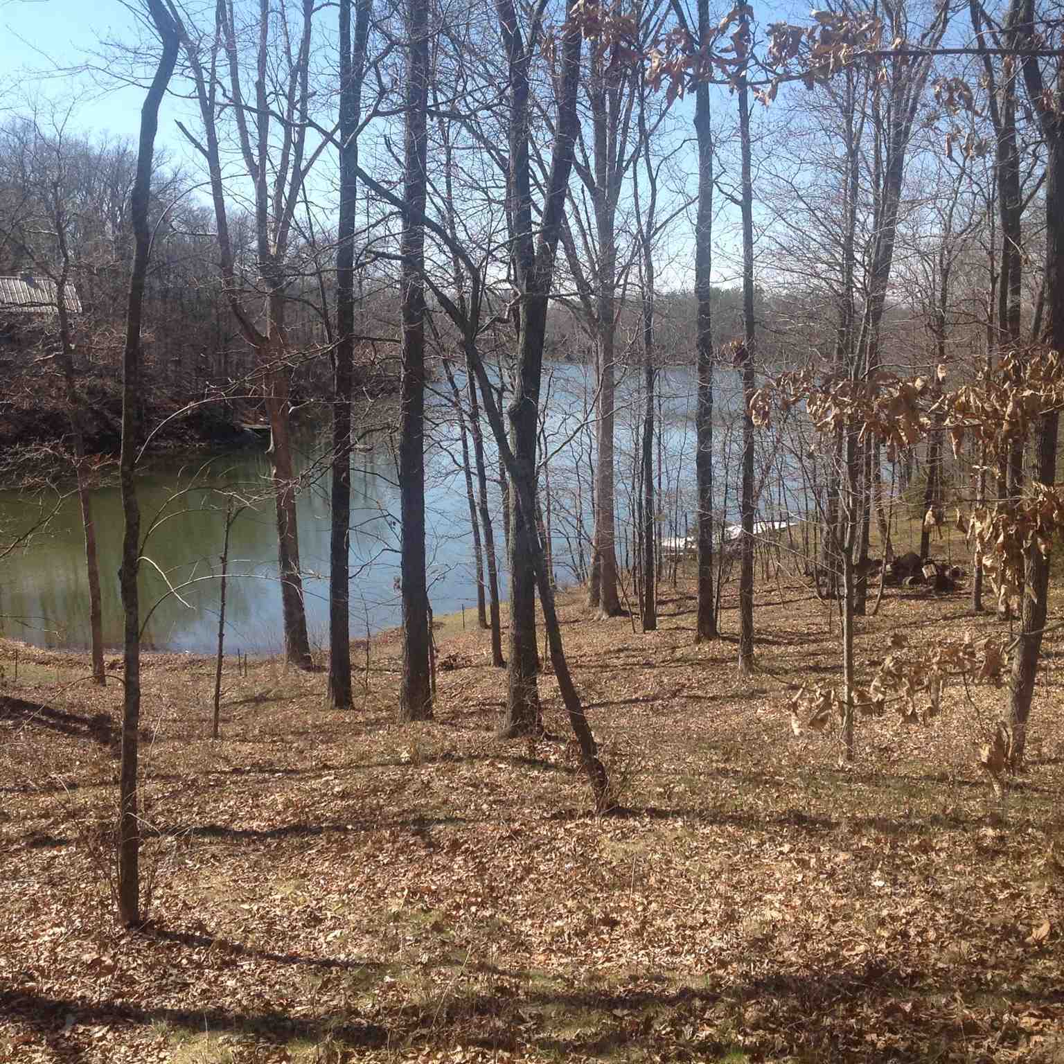 0 Wright Road Carbondale, IL 62902 - Photo 6 of 8