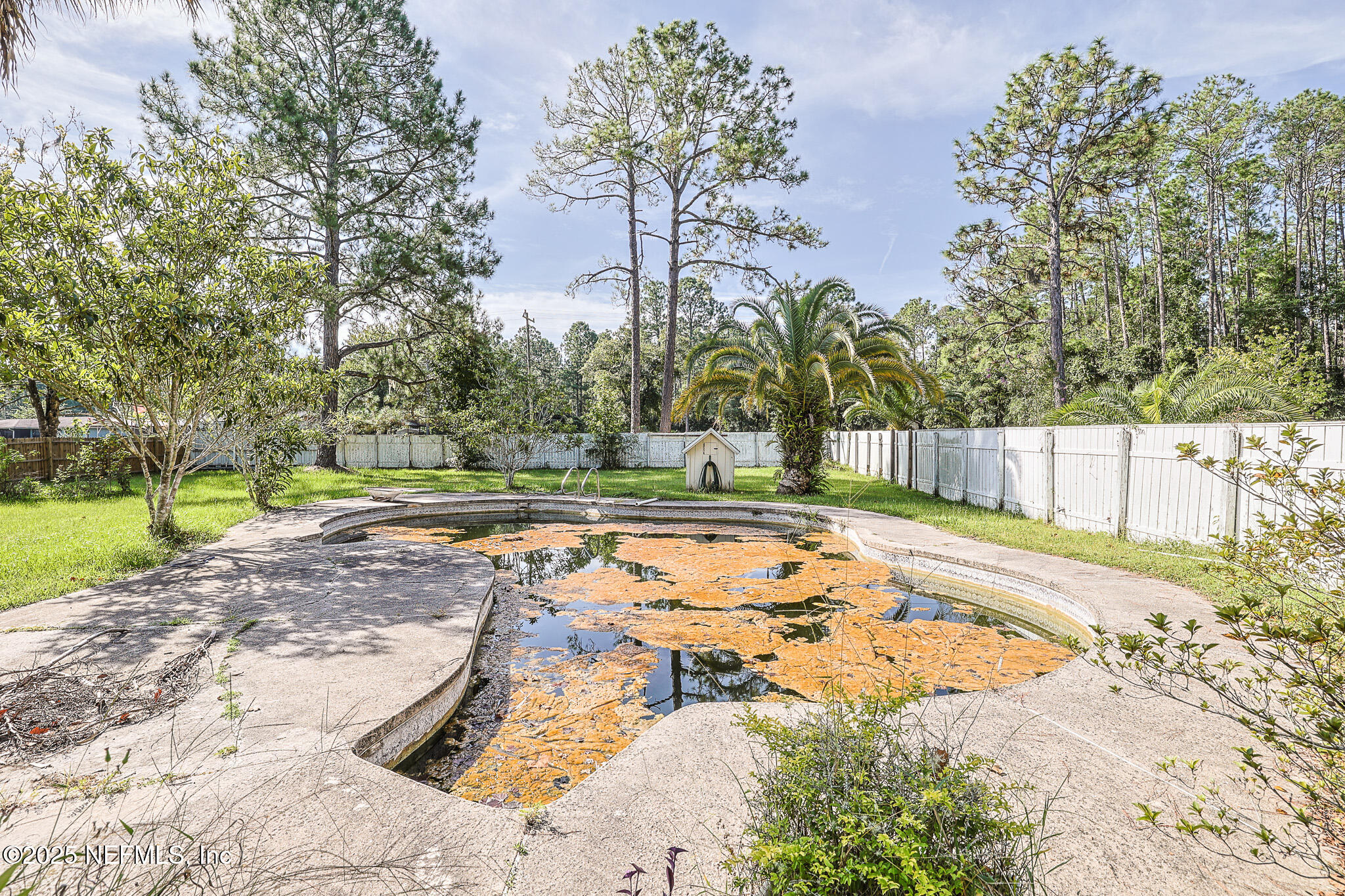1610 Rivers Road Green Cove Springs, FL 32043 - Photo 45 of 64 a view of a backyard
