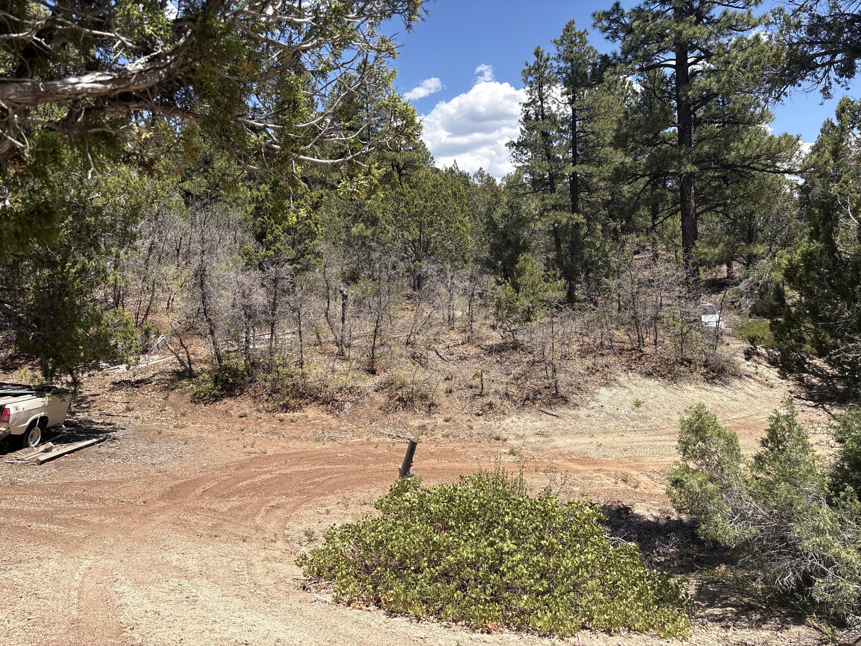 5 North Box Cyn Road Springdale, UT 84767 - Photo 25 of 36 25 Trees on Property