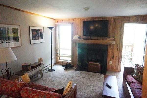 7 Powderidge Road Snowshoe, WV 26209 - Photo 17 of 17 Gallery Image 17