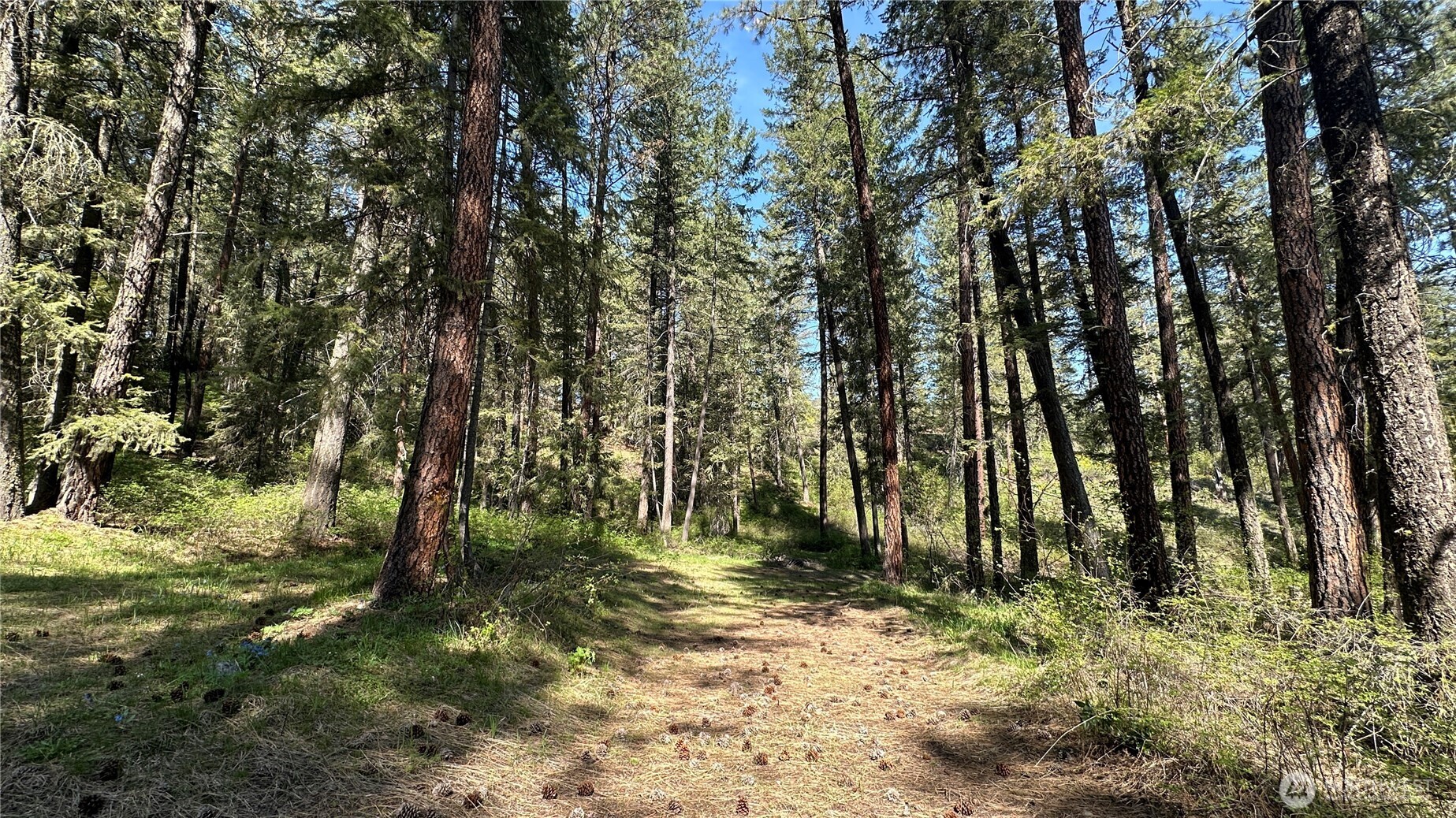 13 Sundance Road Winthrop, WA 98862 - Photo 13 of 40 a view of water yard