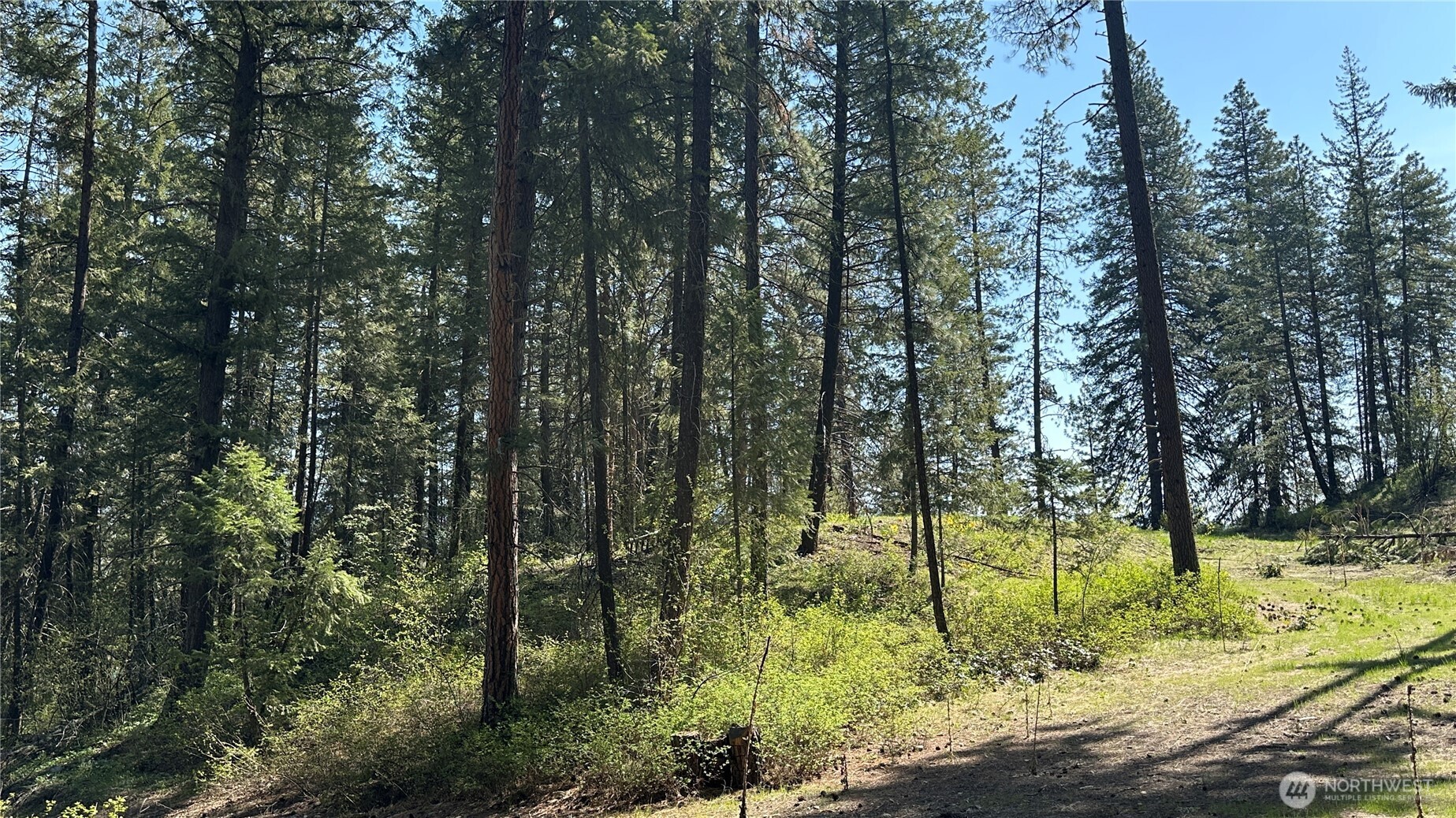 13 Sundance Road Winthrop, WA 98862 - Photo 14 of 40 a view of outdoor space