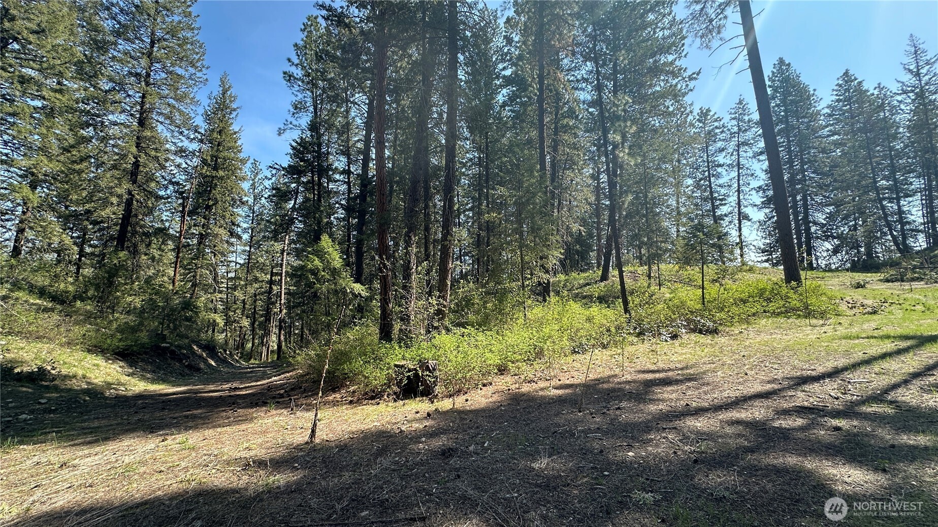13 Sundance Road Winthrop, WA 98862 - Photo 15 of 40 a view of a yard with plants and trees