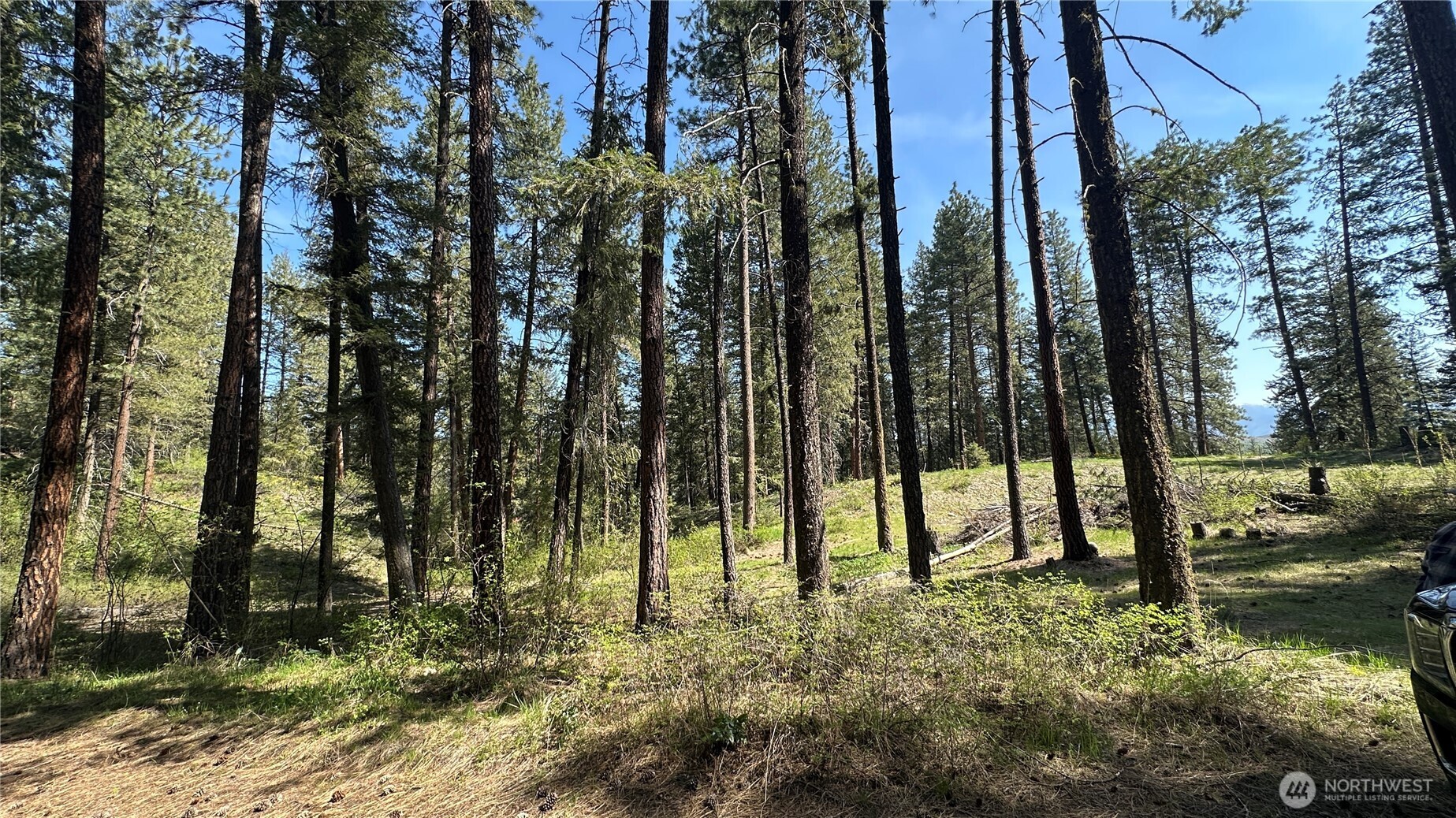 13 Sundance Road Winthrop, WA 98862 - Photo 16 of 40 a view of yard