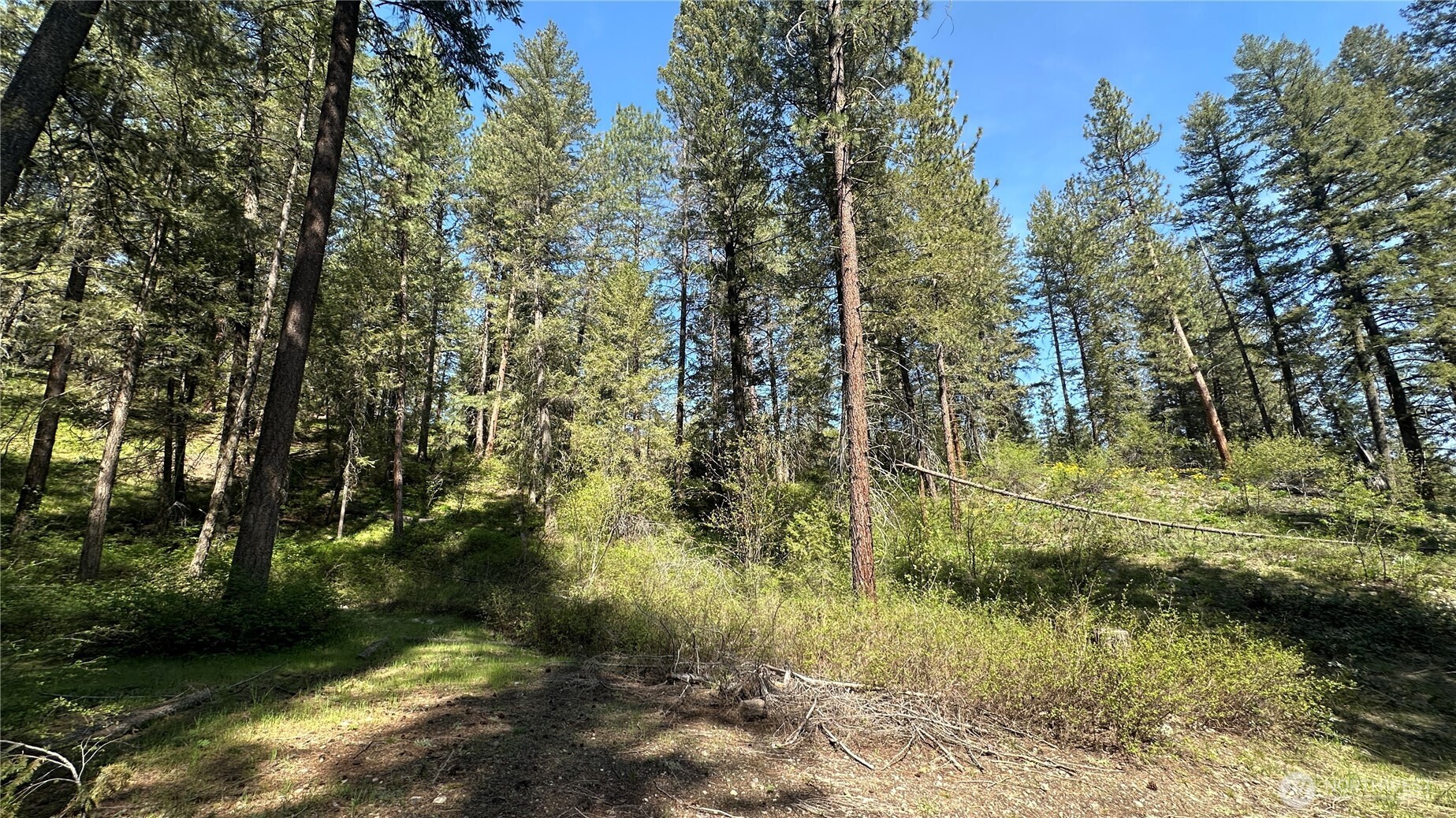 13 Sundance Road Winthrop, WA 98862 - Photo 17 of 40 a view of a yard