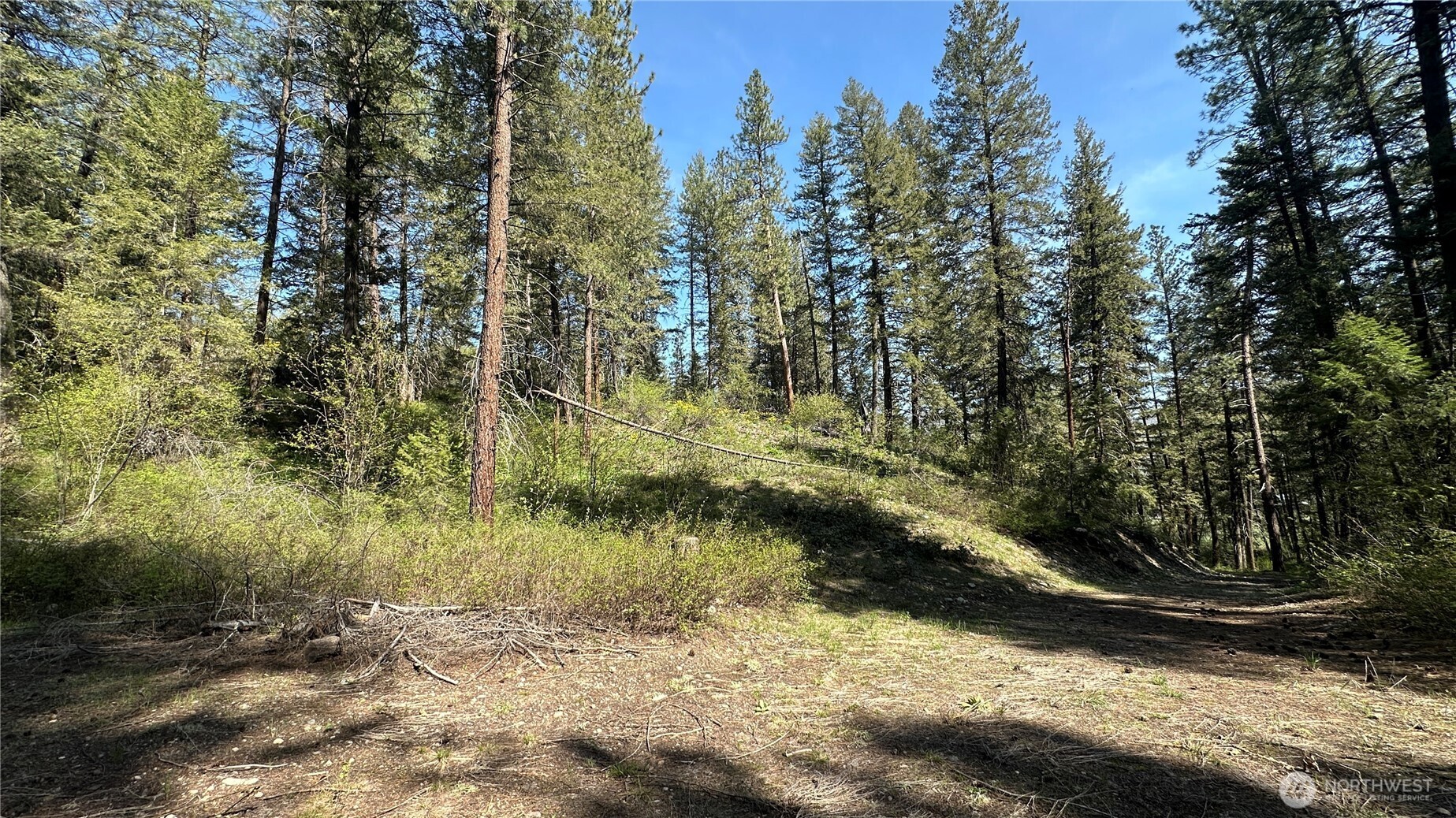 13 Sundance Road Winthrop, WA 98862 - Photo 18 of 40 a view of a yard with trees