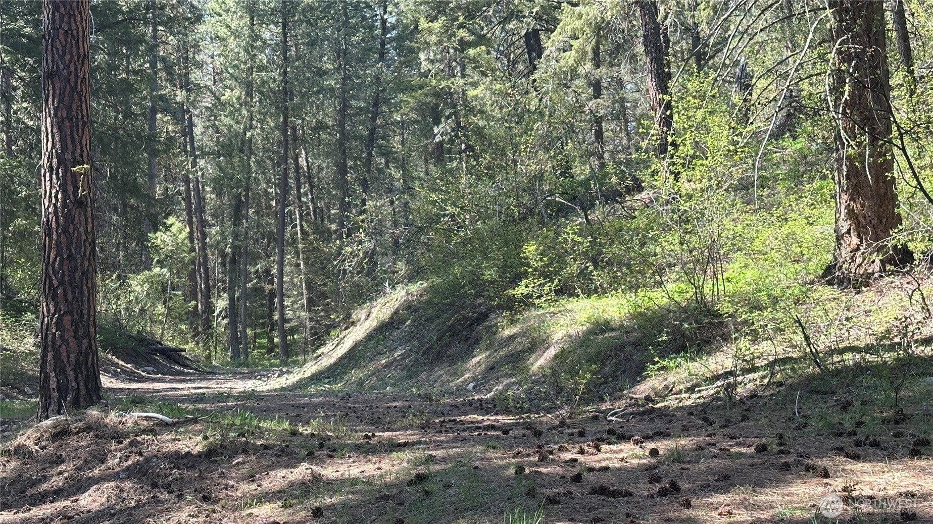 13 Sundance Road Winthrop, WA 98862 - Photo 2 of 40 a view of outdoor space and tree