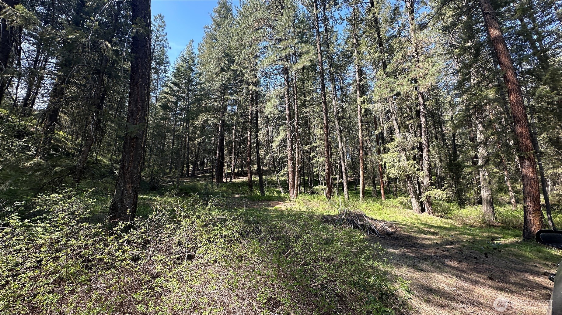 13 Sundance Road Winthrop, WA 98862 - Photo 21 of 40 a backyard of a house with lots of green space