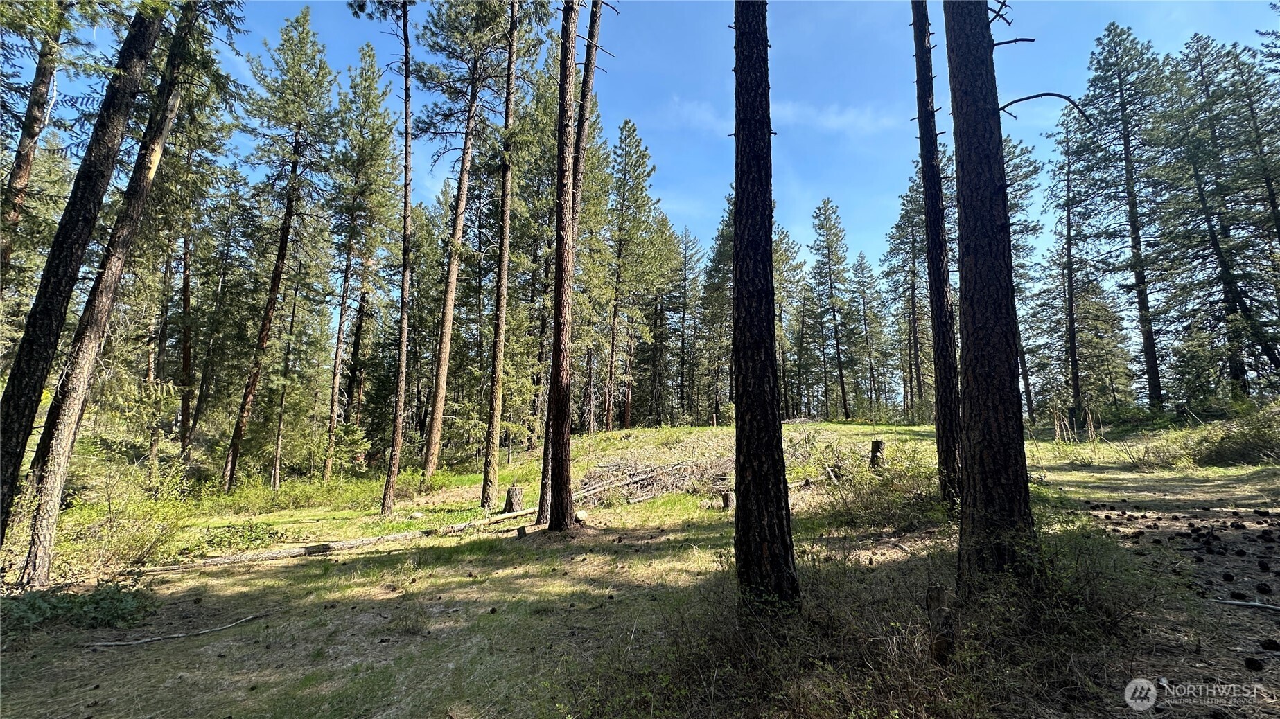 13 Sundance Road Winthrop, WA 98862 - Photo 23 of 40 a view of a yard with a tree