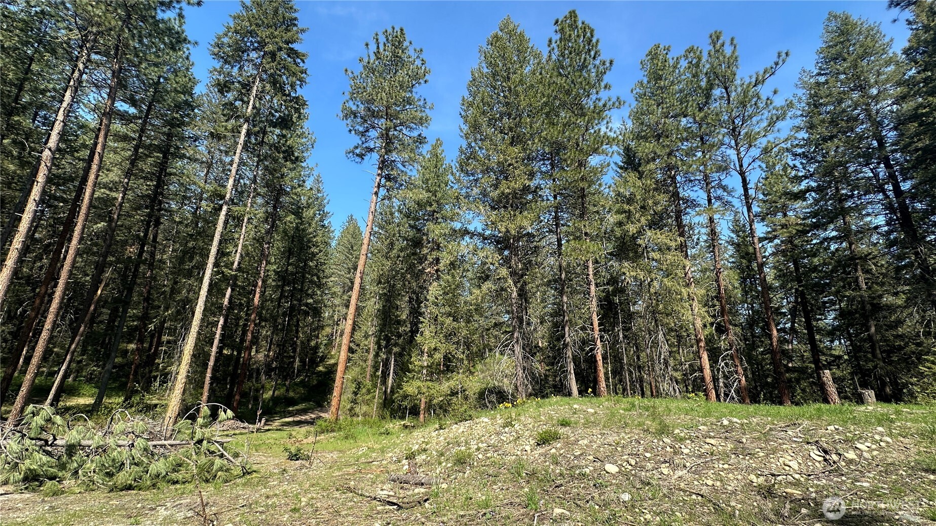 13 Sundance Road Winthrop, WA 98862 - Photo 24 of 40 a backyard of a house with lots of green space