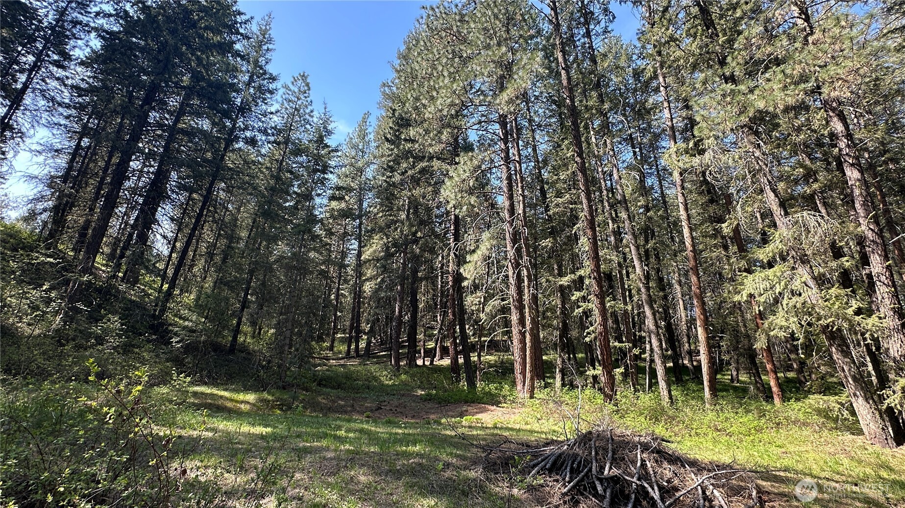 13 Sundance Road Winthrop, WA 98862 - Photo 25 of 40 a view of swimming pool with a tree