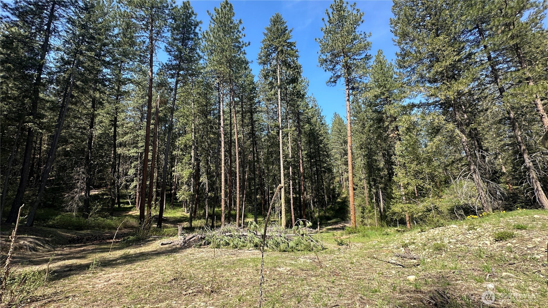 13 Sundance Road Winthrop, WA 98862 - Photo 27 of 40 a view of a barn with a large trees