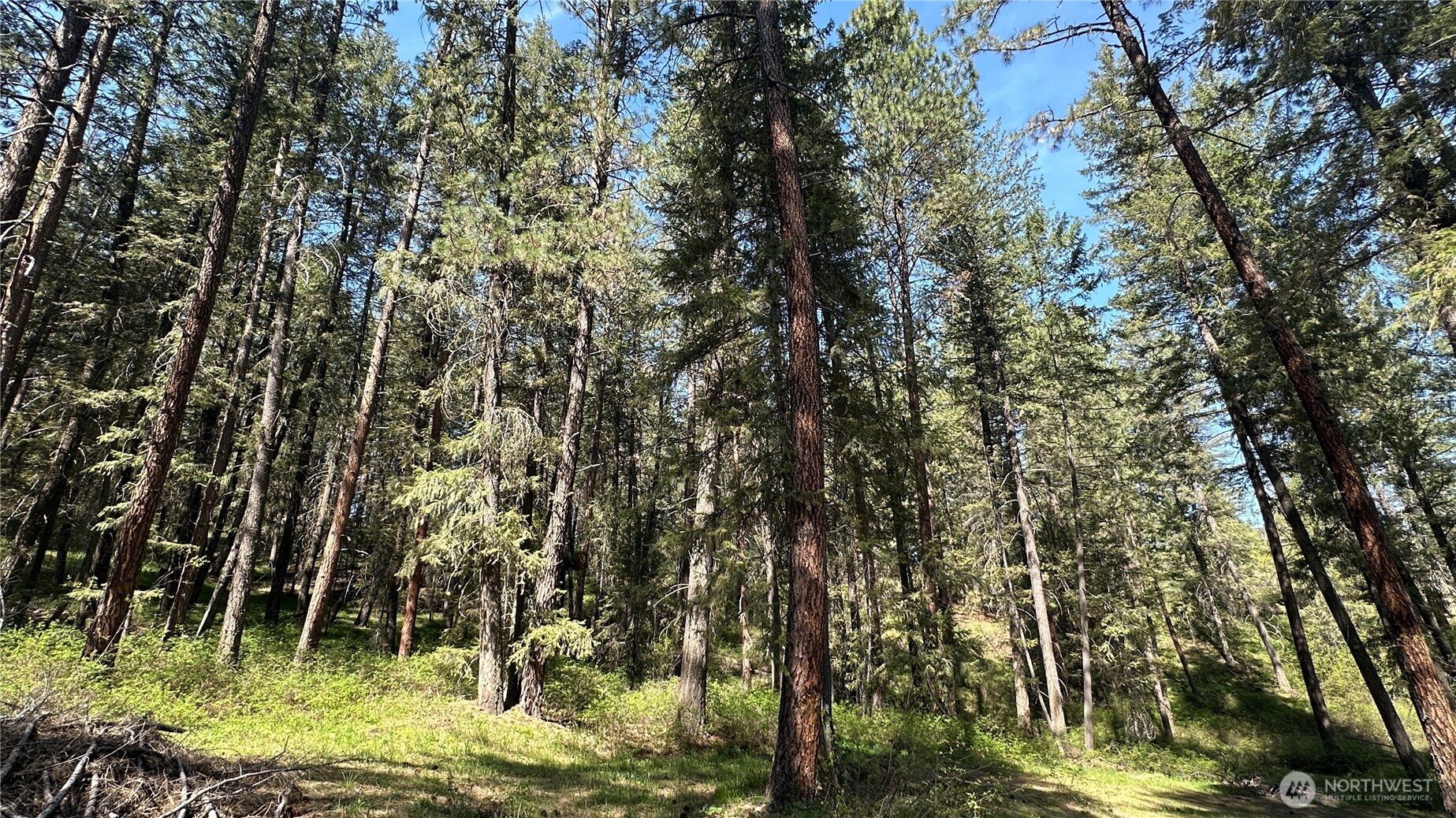 13 Sundance Road Winthrop, WA 98862 - Photo 28 of 40 a view of an outdoor space
