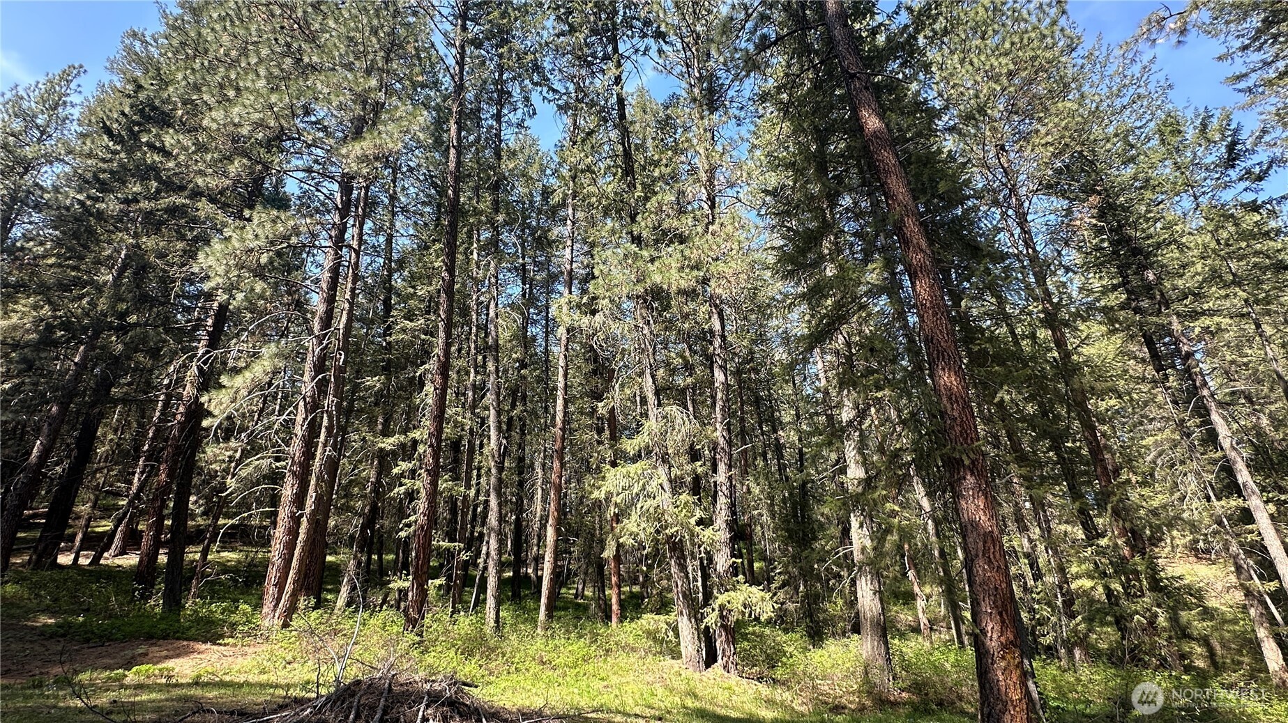 13 Sundance Road Winthrop, WA 98862 - Photo 29 of 40