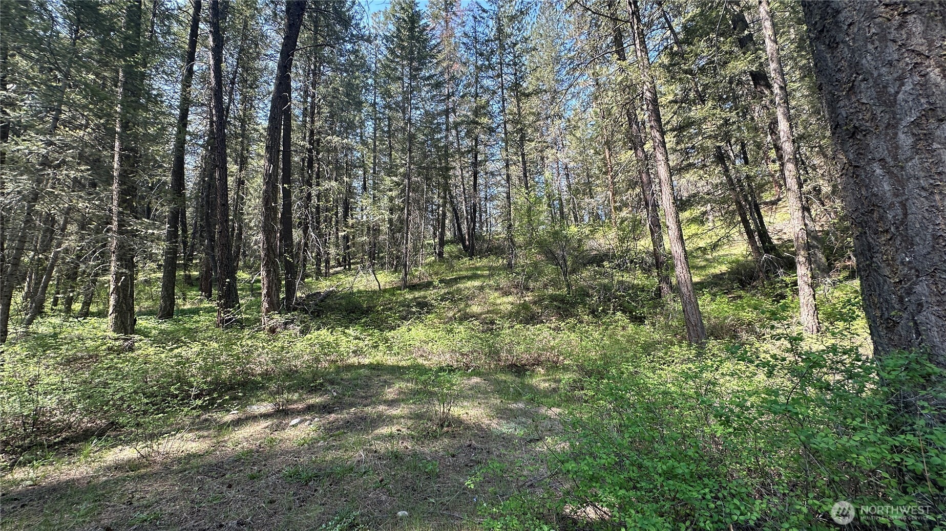 13 Sundance Road Winthrop, WA 98862 - Photo 3 of 40 a view of outdoor space and green space