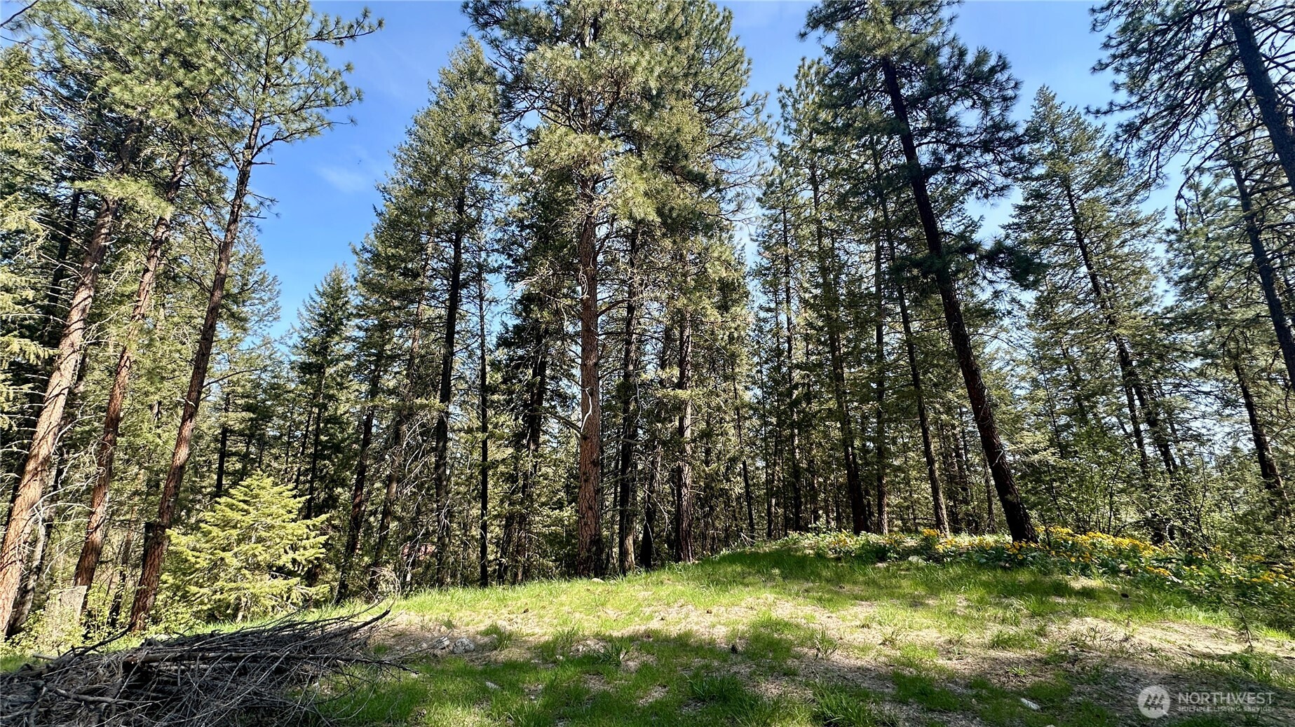 13 Sundance Road Winthrop, WA 98862 - Photo 31 of 40 a view of backyard with green space
