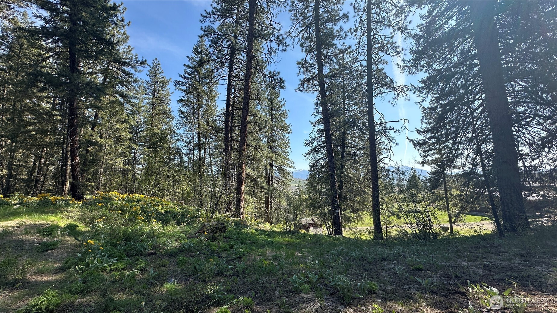 13 Sundance Road Winthrop, WA 98862 - Photo 33 of 40 a big yard with lots of green space and fog