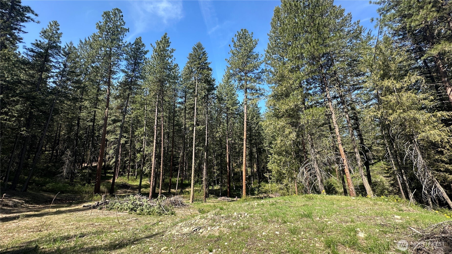 13 Sundance Road Winthrop, WA 98862 - Photo 34 of 40 a backyard of a house with lots of green space