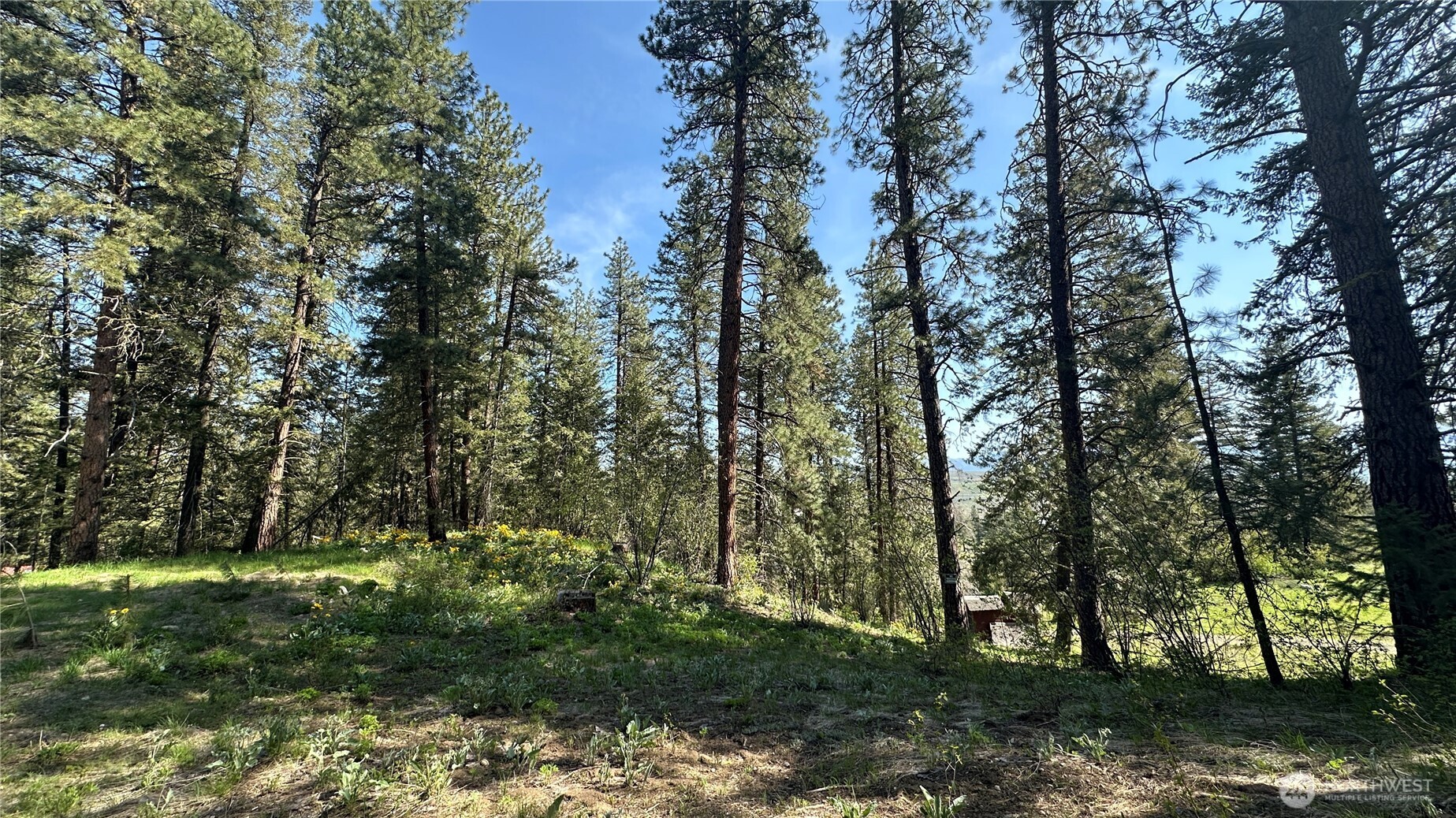 13 Sundance Road Winthrop, WA 98862 - Photo 36 of 40 a view of backyard with green space