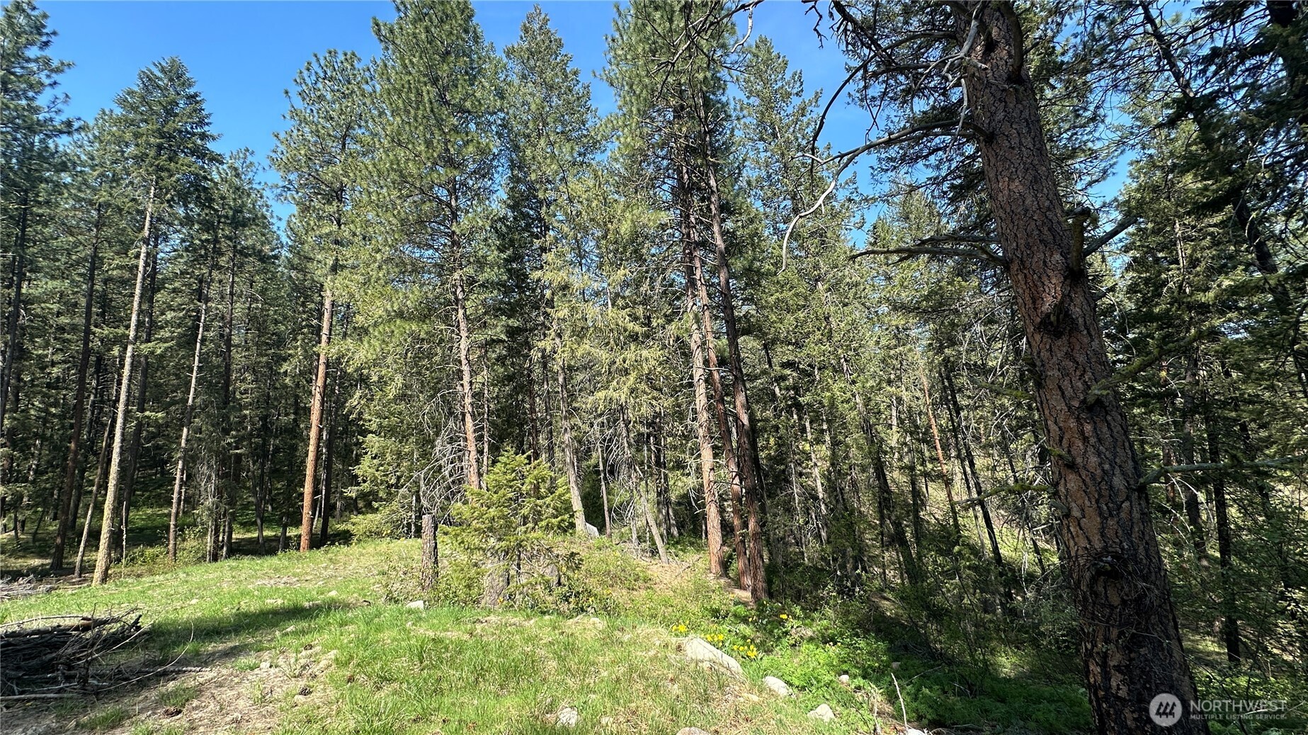 13 Sundance Road Winthrop, WA 98862 - Photo 37 of 40 a view of a park