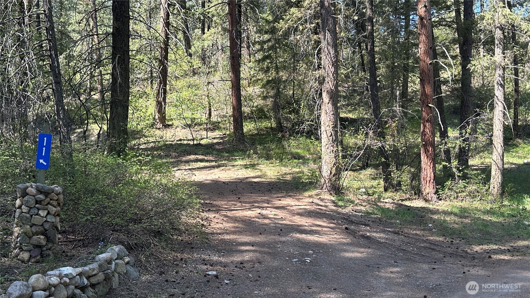 13 Sundance Road Winthrop, WA 98862 - Photo 6 of 40 a view of a trees with yard