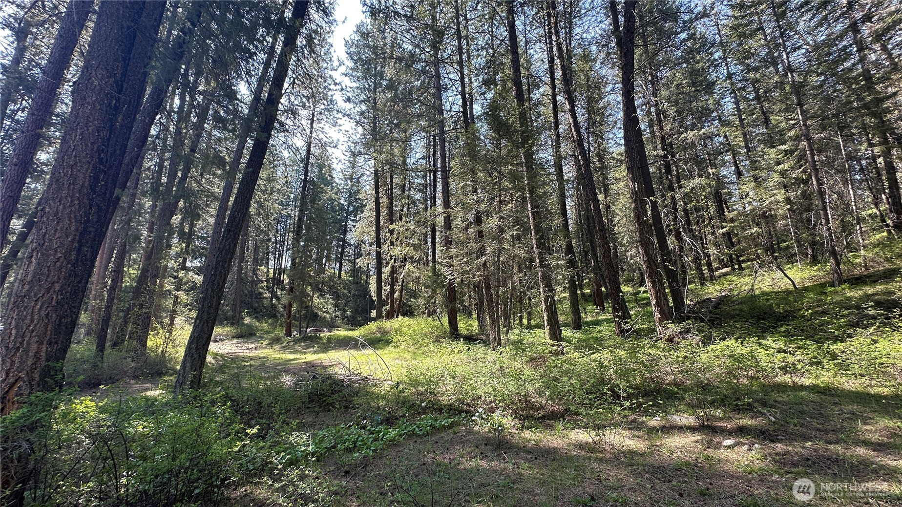 13 Sundance Road Winthrop, WA 98862 - Photo 10 of 40 a big yard with lots of green space and fountain