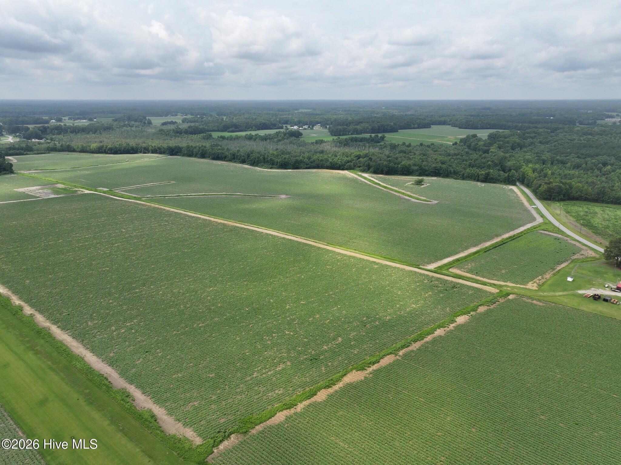 0 Huckleberry Road Lucama, NC 27851 - Photo 13 of 18 Gallery Image 13