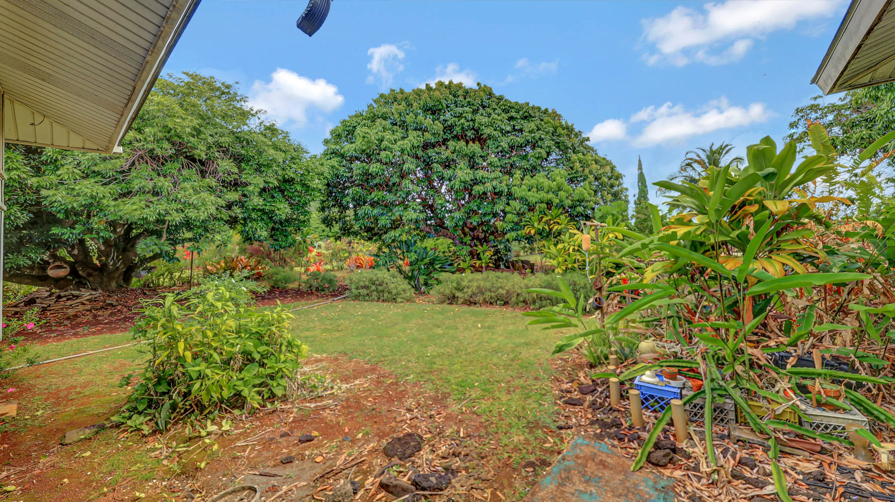 5116 Kula Road Kapaa, HI 96746 - Photo 22 of 28 a view of a garden