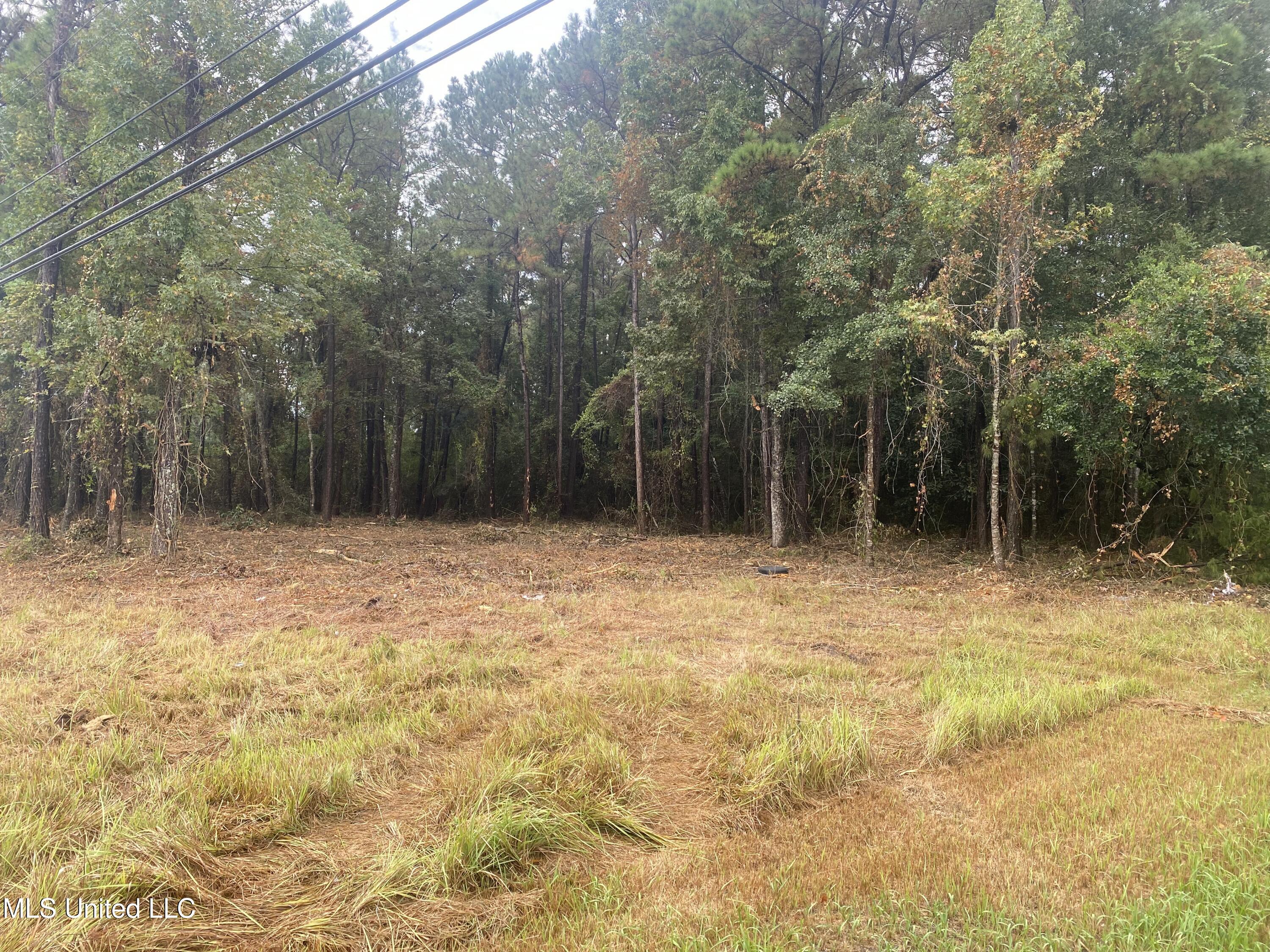 613 Hwy Escatawpa Ms 39552 Moss Point, MS 39562 - Photo 5 of 7 IMG_6386