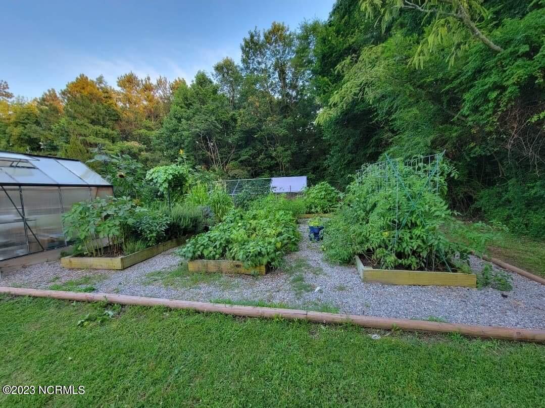 534 Soundside Road Edenton, NC 27932 - Photo 31 of 34 Summertime pic of garden (seller provided)