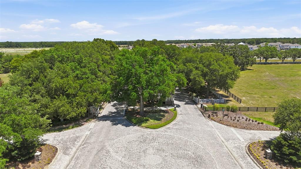20945 Oldenburg Loop Mount Dora, FL 32757 - Photo 60 of 68