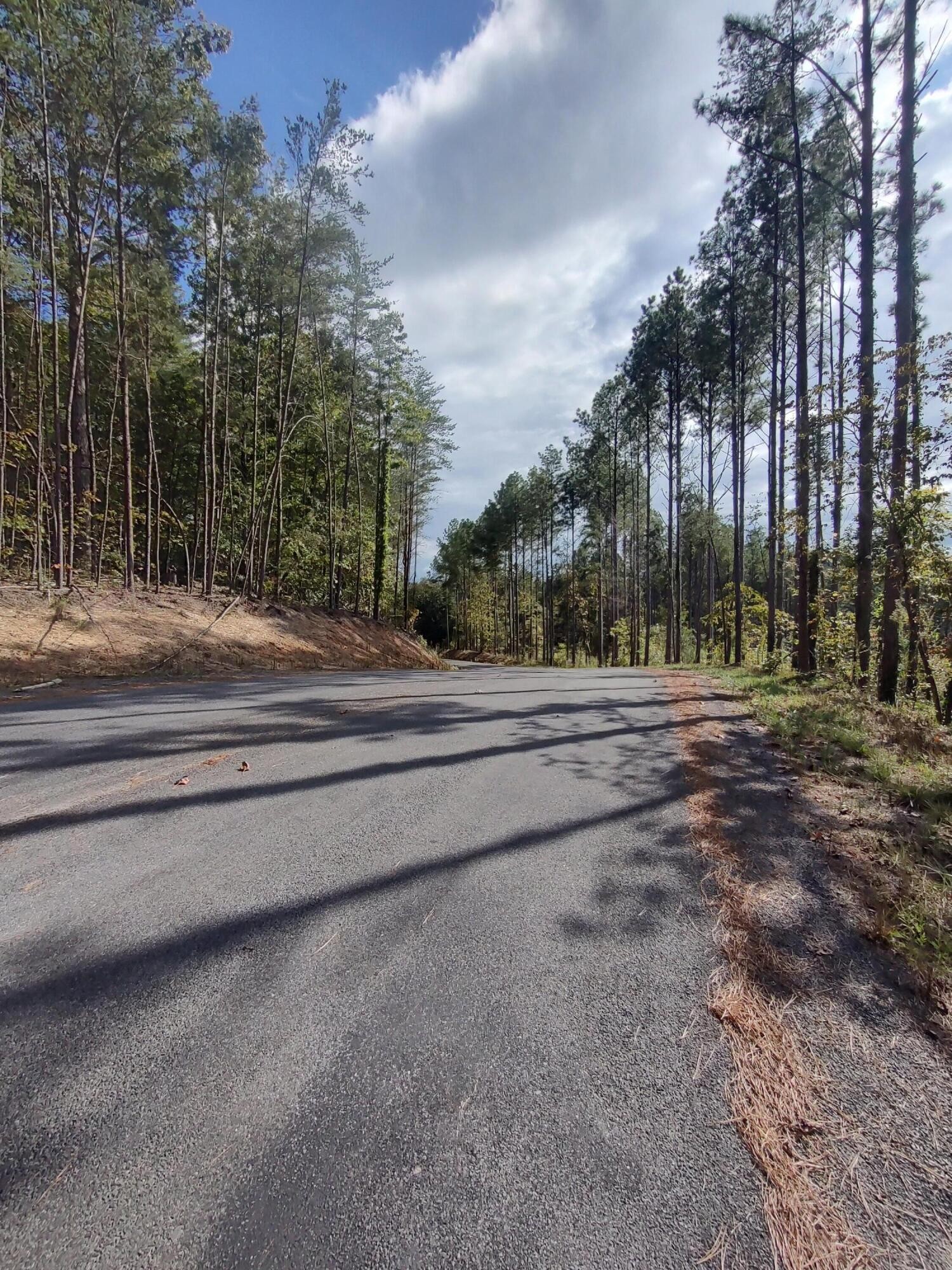 121 Polly Wally Road Ocoee, TN 37361 - Photo 28 of 29 a view of a park