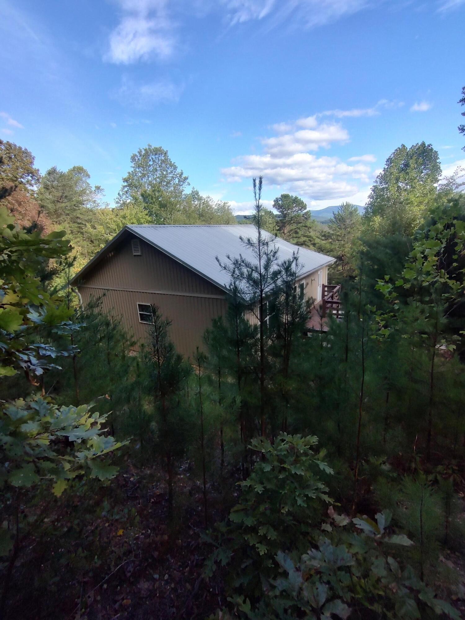 121 Polly Wally Road Ocoee, TN 37361 - Photo 7 of 29 a view of a house with a yard