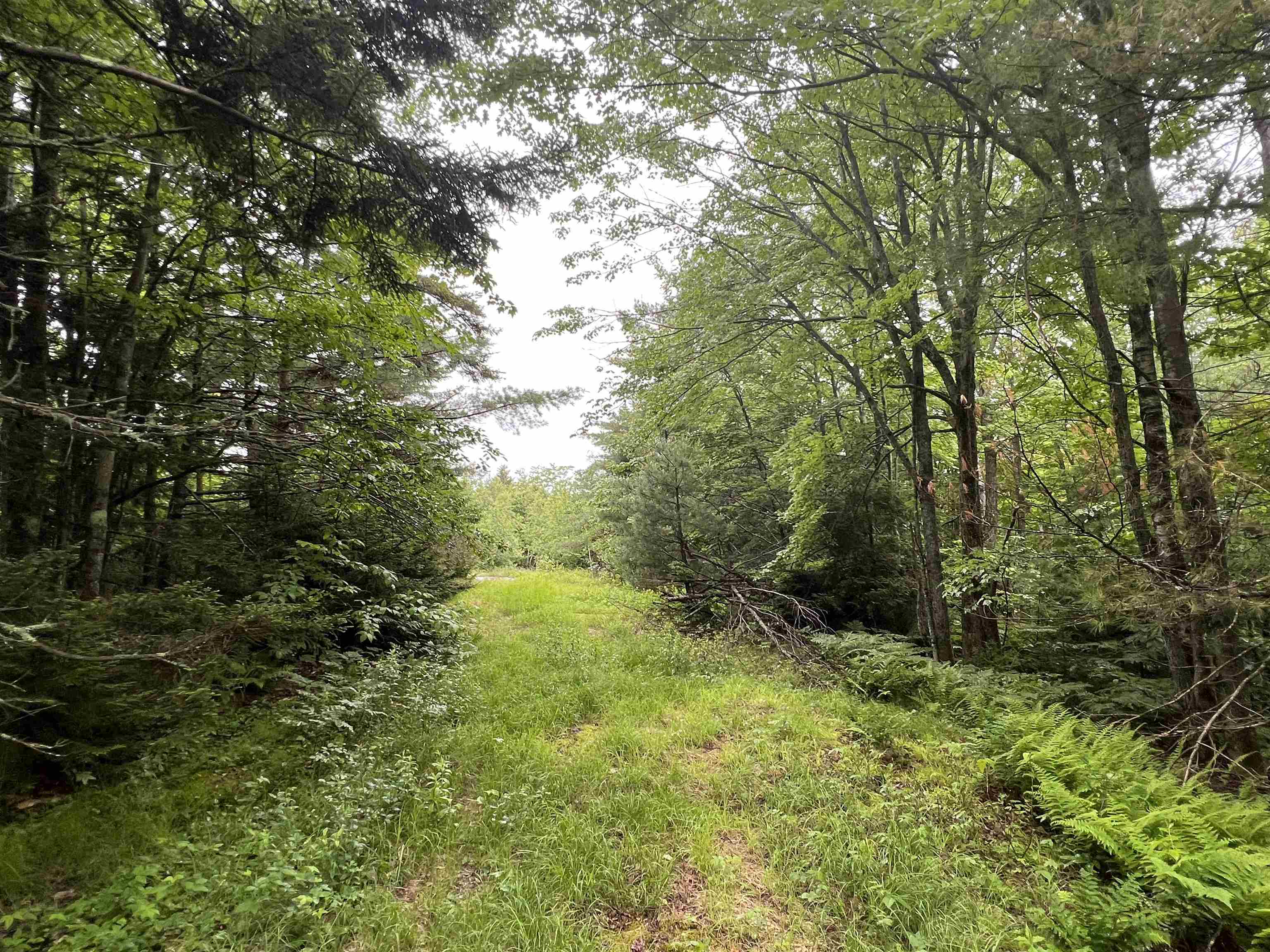 Lemere Road Claremont, NH 03743 - Photo 1 of 3