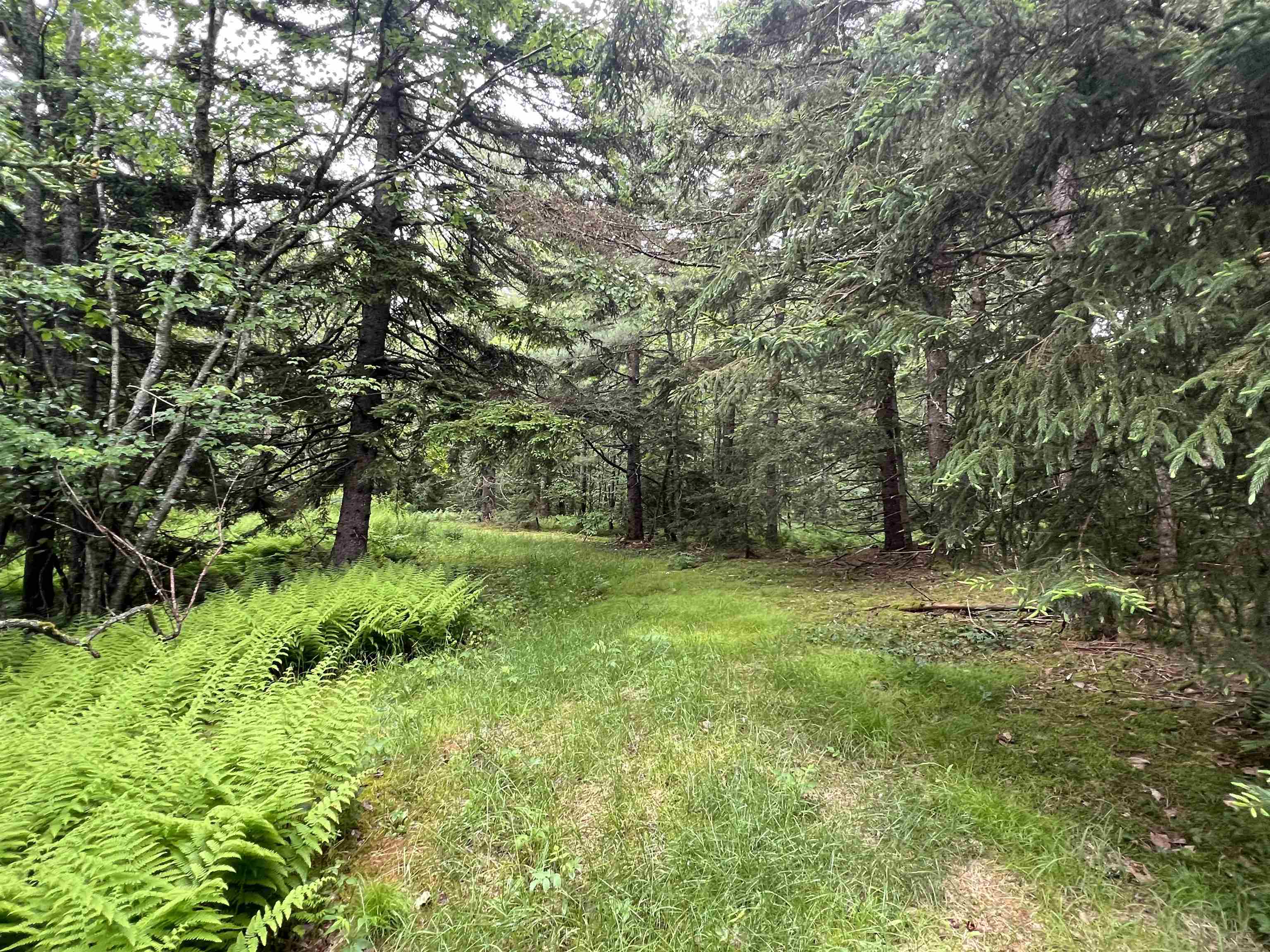 Lemere Road Claremont, NH 03743 - Photo 3 of 3