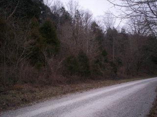 1 Mullins Station Road Livingston, KY 40445 - Photo 1 of 2 Photo 1