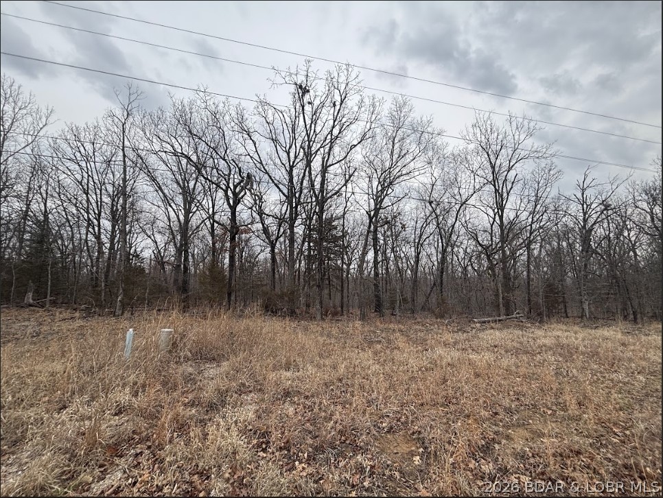 1113 Shawnee Bend Road Sunrise Beach, MO 65079 - Photo 2 of 3