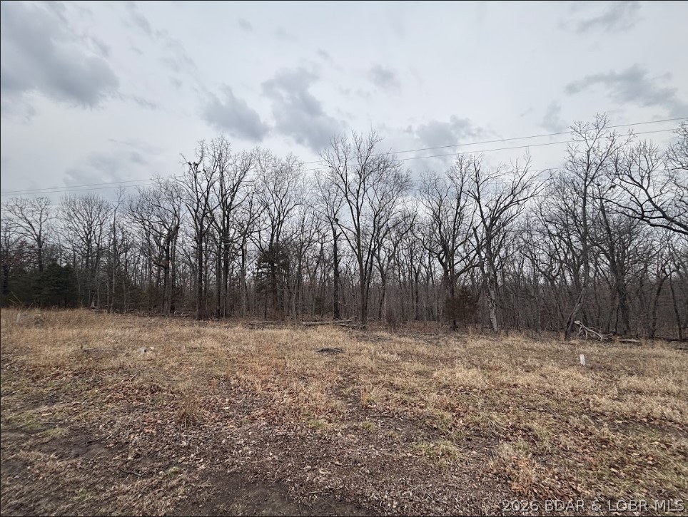 1113 Shawnee Bend Road Sunrise Beach, MO 65079 - Photo 3 of 3