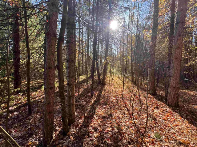 $59,900 | Cole School Road, Pembine, WI 54156