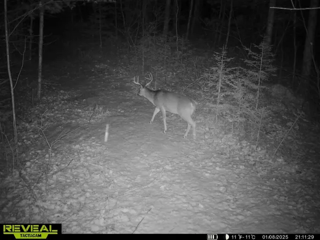 $59,900 | Cole School Road, Pembine, WI 54156