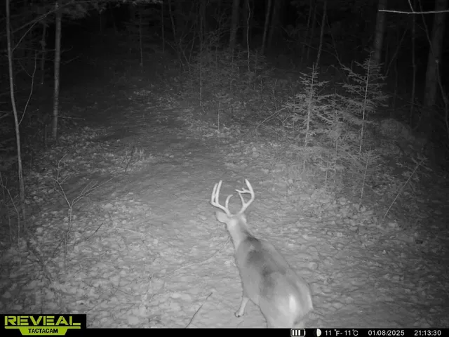 $59,900 | Cole School Road, Pembine, WI 54156