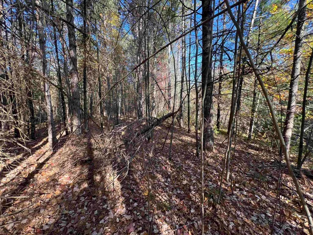 $59,900 | Cole School Road, Pembine, WI 54156