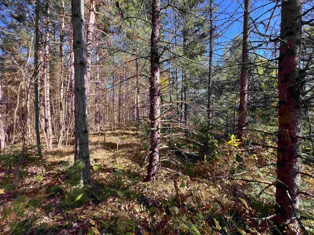 $59,900 | Cole School Road, Pembine, WI 54156